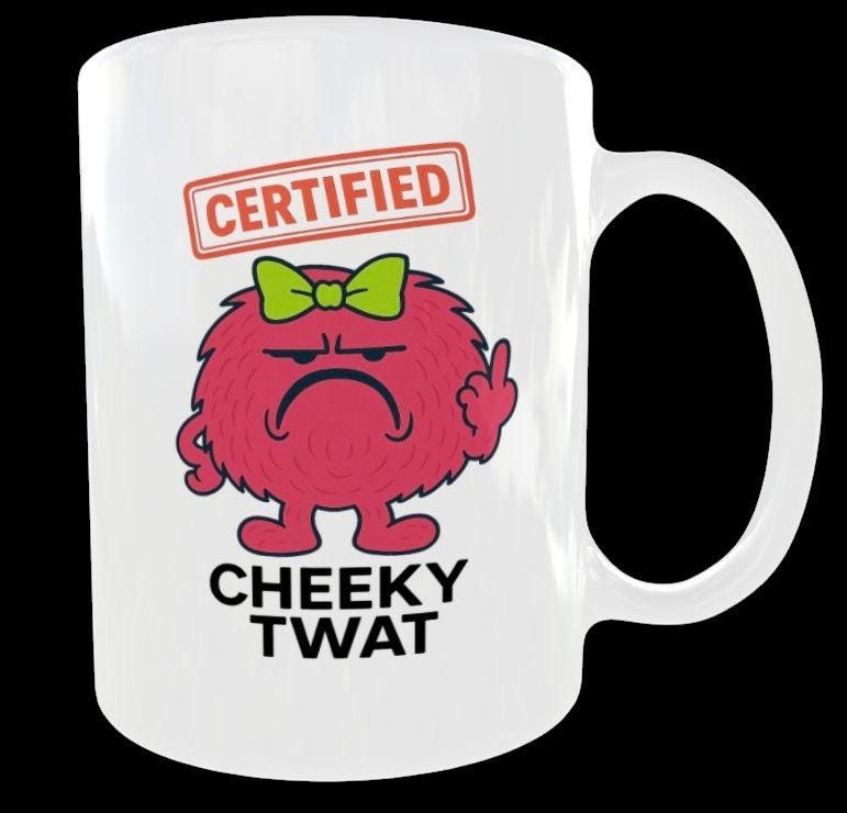 Funny Novelty Ceramic Mug For Women - Cheeky Tw*t