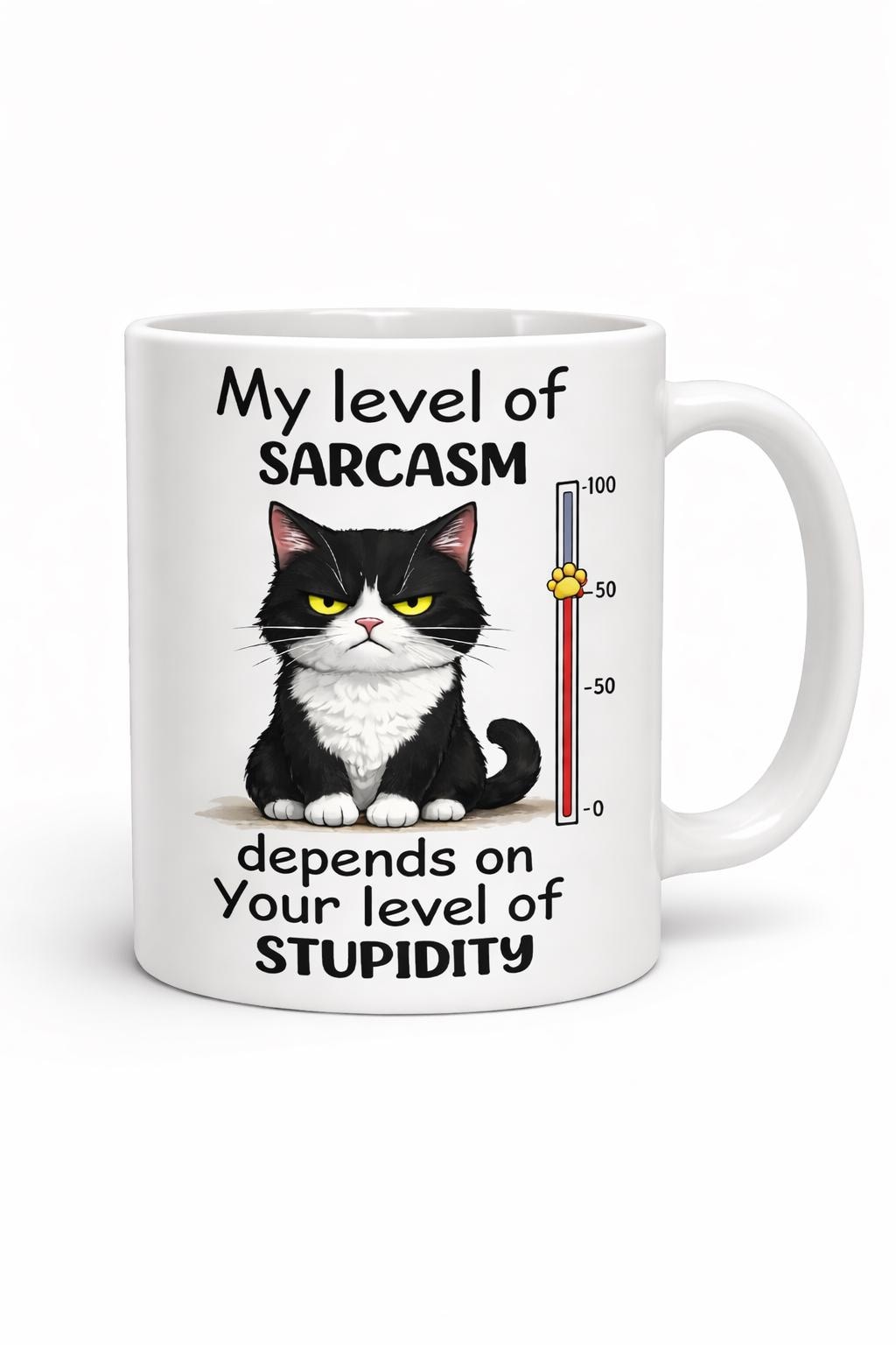 Funny Cat Mug, Rude Cat Gift, Sarcastic Cat Lover Mug, Black & White Cat Mug